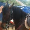 hamid.kamel