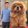 wechat15142819484