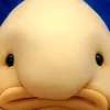 .pumpel