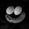 rygall0