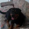 frida_and_martha