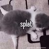 iwbtsisqmt