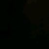 chepina_tv