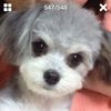 user59307251456755
