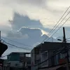 hamivihorse