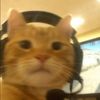 riochill8