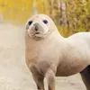 bluhart79