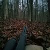 countryboys.57