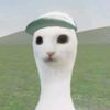 wheneresjhan2
