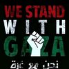 mohamed_elmashed_10