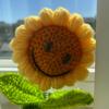 sunnythesunflowerplant