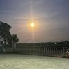 utthitran1988