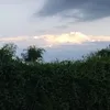 qtwjbs_zxq