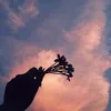 vietm08