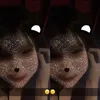 nongnamwannn