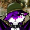 kayla_kitigon_old_acc