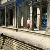 zang.yang1704