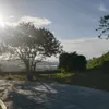 jim_ibert