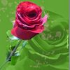 abdurezak.abisno