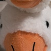 duck35689