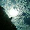 xuser_wow