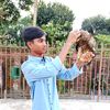itz.mehedi39