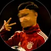 munich301