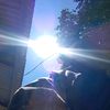 laylaa_0.5