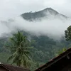 mulyadi.wanara.be