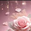 may_cee198