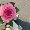 alaa.al858