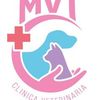 mvt.teresa