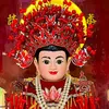 thuytien.66h1