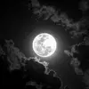 yanissekoutiebou8