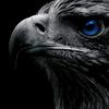 tagnal8