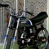 hanan.ali246