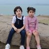 rayyan533