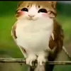 this_is_my_username.3