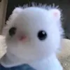chiyeuminha.nh
