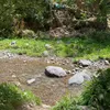 growingagarden_gag