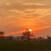 algendy.gamal