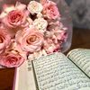 omar.hakimi