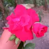 gaby032515