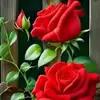 user1808586303755