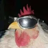 funny_cl1p3