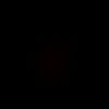 ward.o3