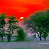 shamsherali.ali