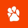 baidyk.pets