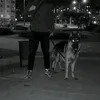 derex_metro
