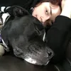 budoop